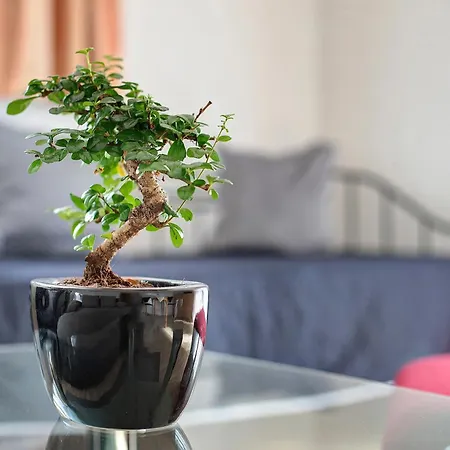 Apartment Panoramablick