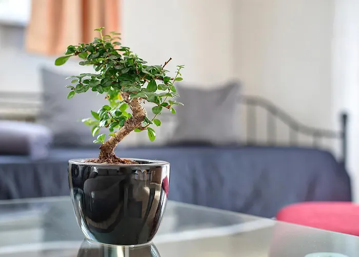 Apartment Panoramablick